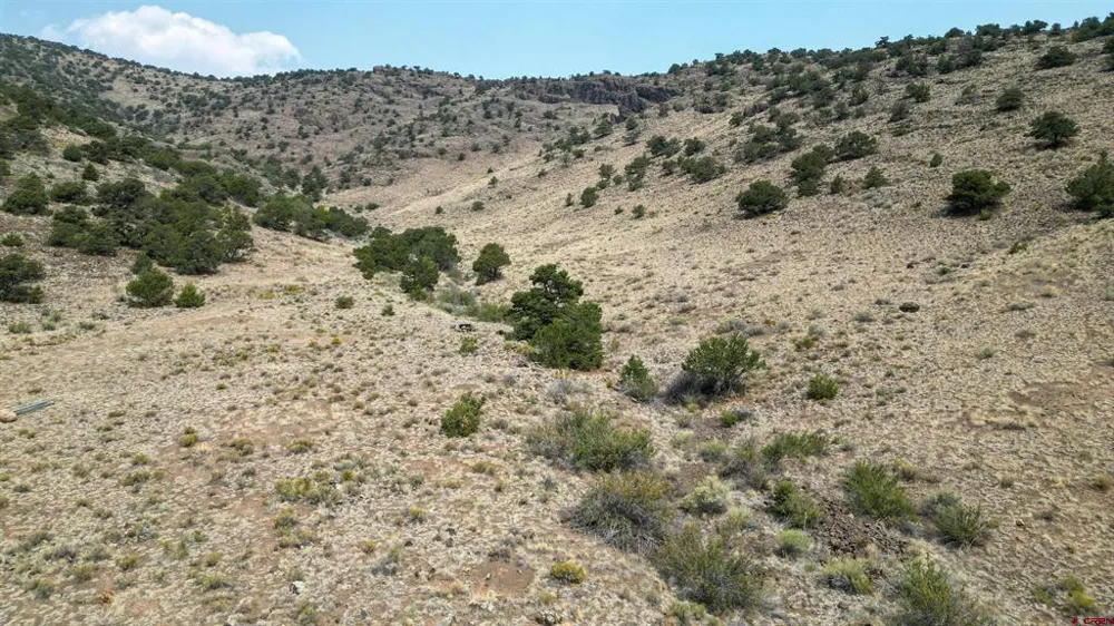 27 Ghost Mine Ranch Del Norte, CO 81132