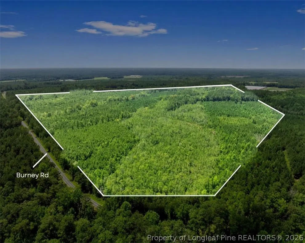 Burney Road White Oak, NC 28399