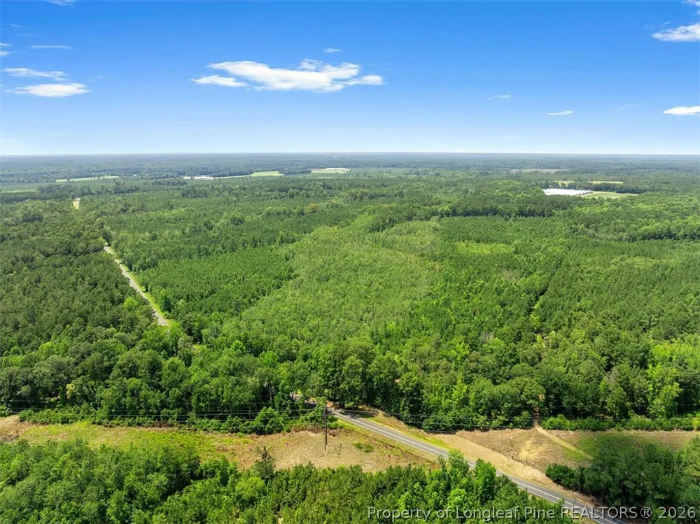 Burney Road White Oak, NC 28399