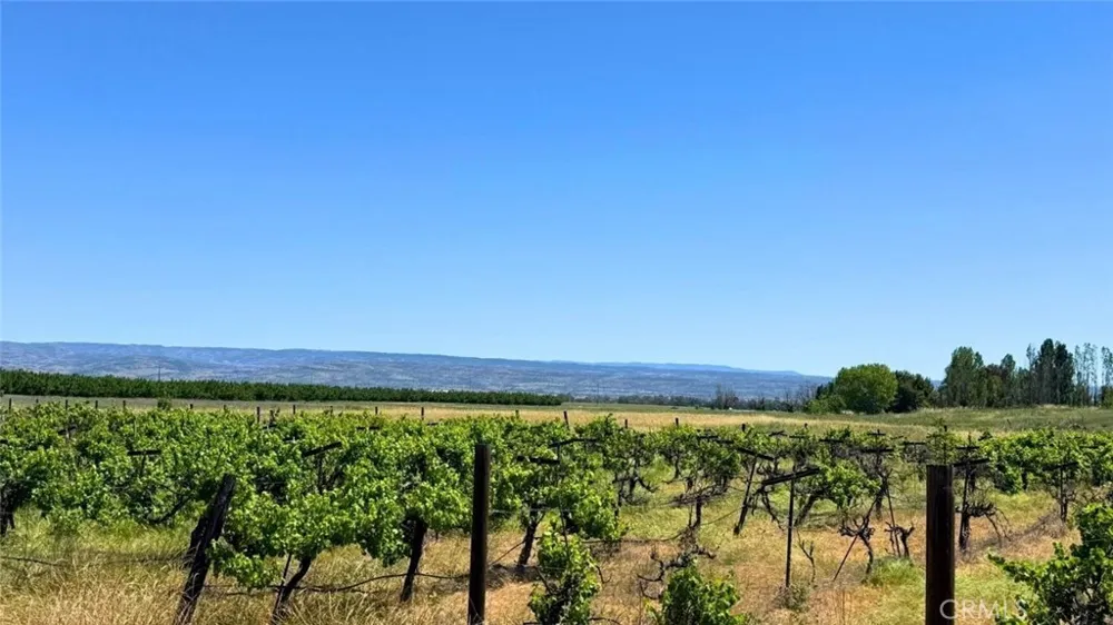 5438 Cana Chico, CA 95973