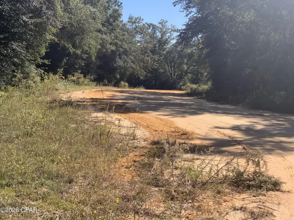 Larry Street Alford, FL 32420