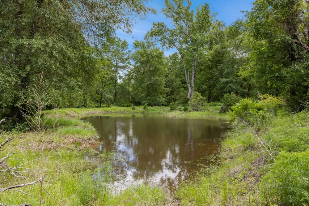 3205 County Road 308 Caldwell, TX 77836
