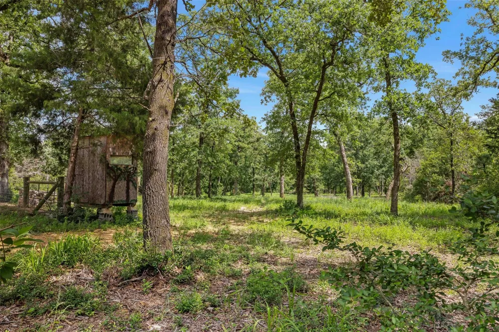 3205 County Road 308 Caldwell, TX 77836