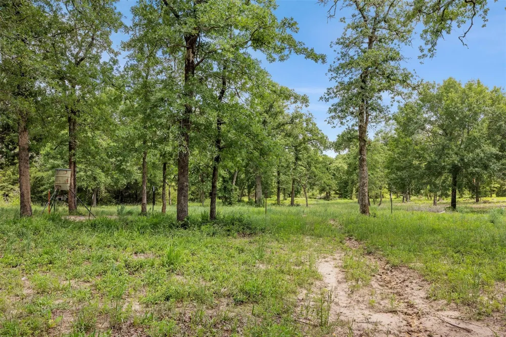 3205 County Road 308 Caldwell, TX 77836