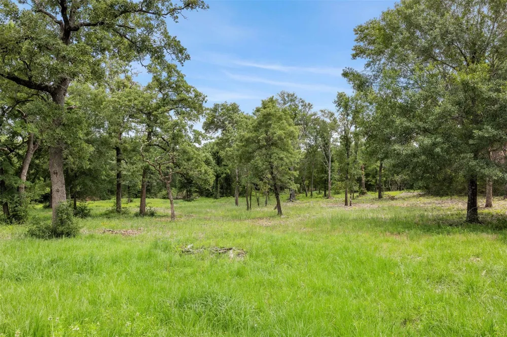 3205 County Road 308 Caldwell, TX 77836