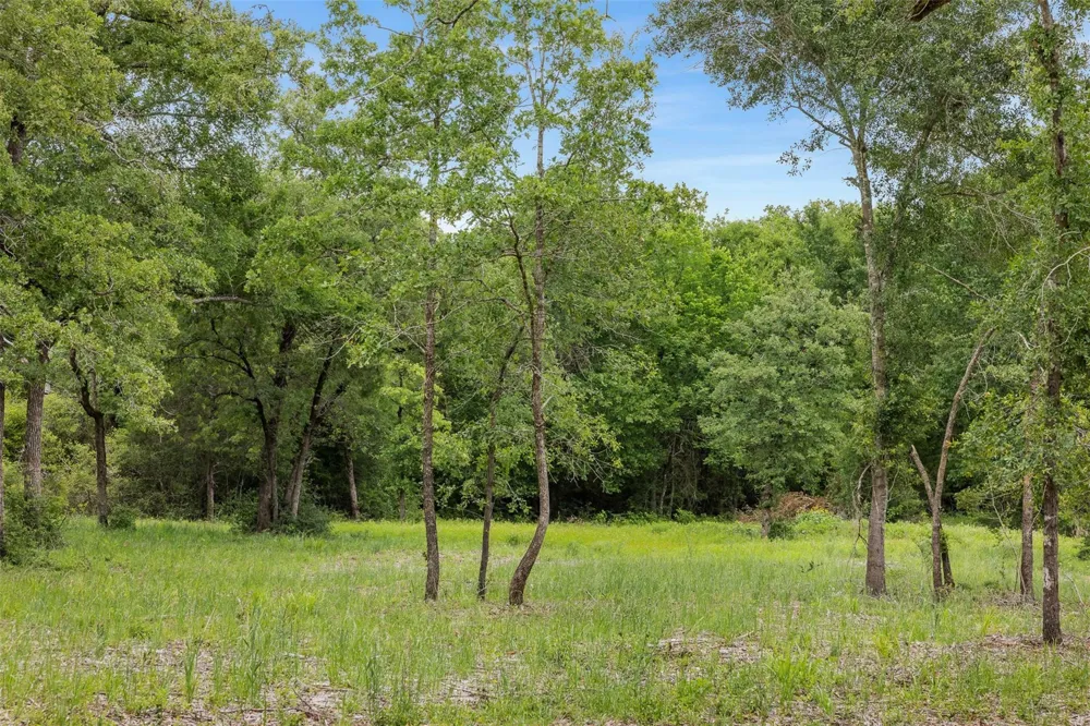 3205 County Road 308 Caldwell, TX 77836