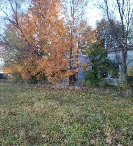 10044 8 Mile Road