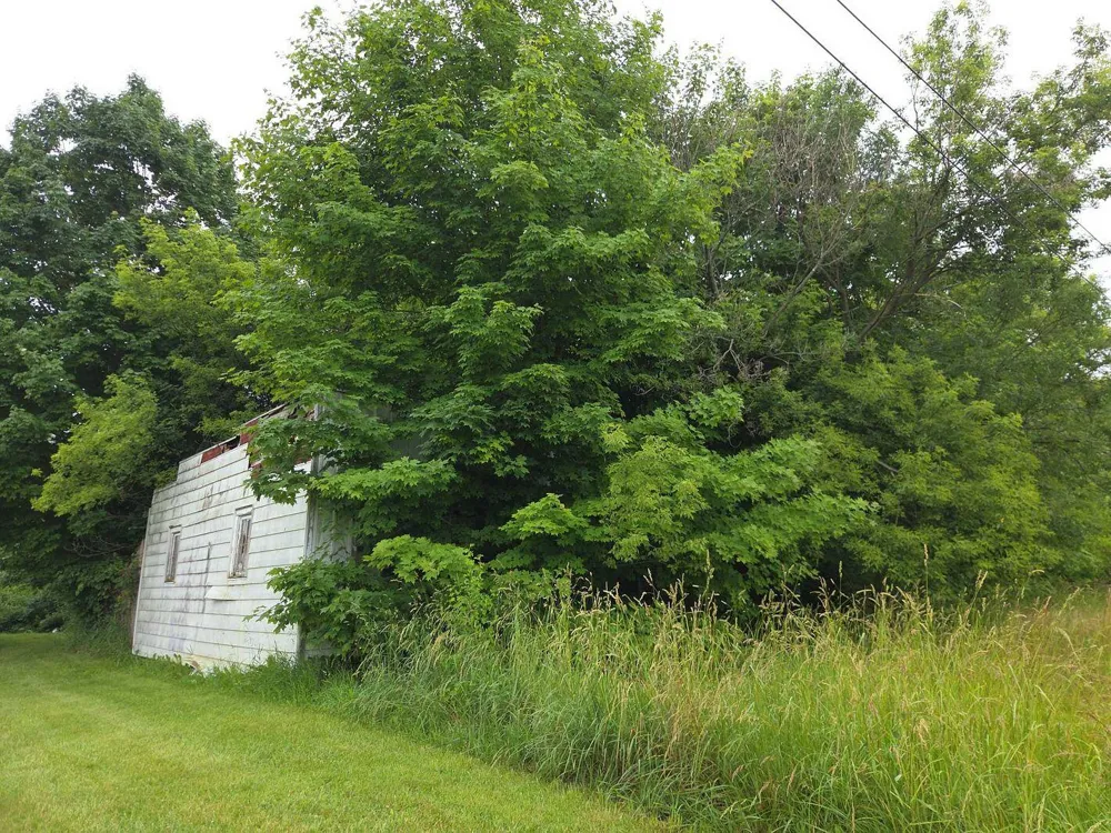 10044 8 Mile Road Ceresco, MI 49033