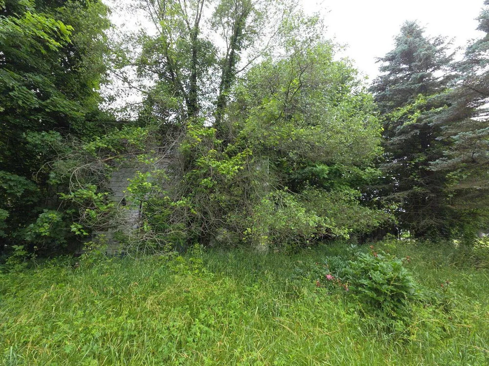 10044 8 Mile Road Ceresco, MI 49033