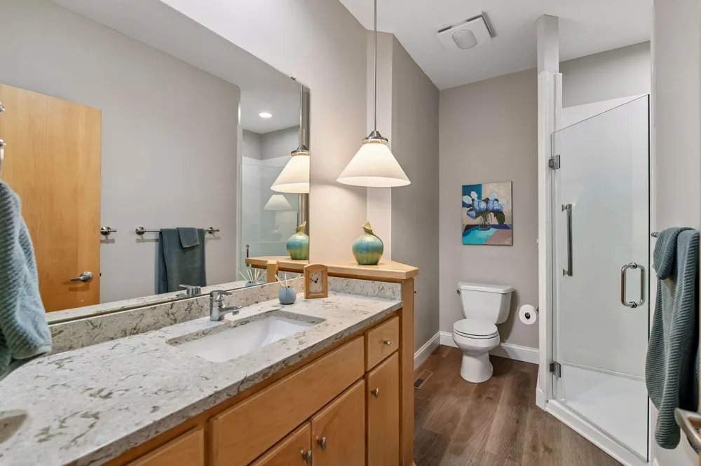 290 Grace Pointe Court Wayzata, MN 55391