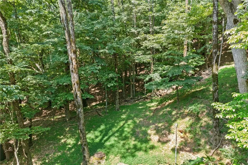 37 Petit Ridge Drive Big Canoe, GA 30143