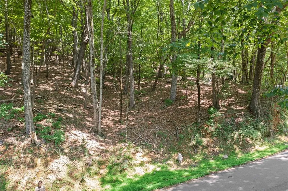 37 Petit Ridge Drive Big Canoe, GA 30143