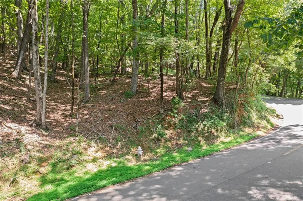 37 Petit Ridge Drive Big Canoe, GA 30143