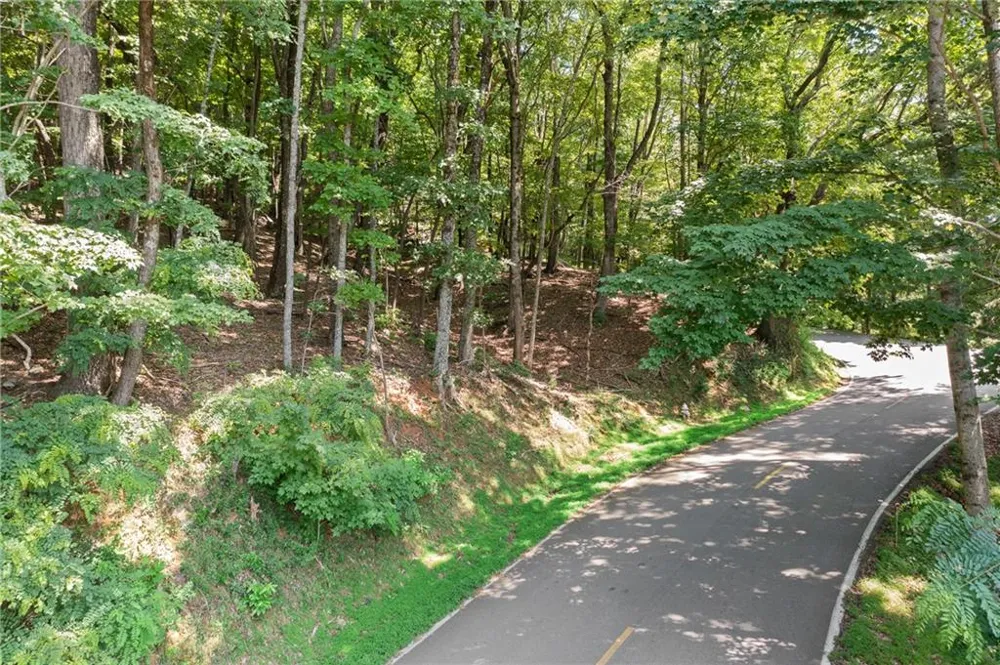 37 Petit Ridge Drive Big Canoe, GA 30143