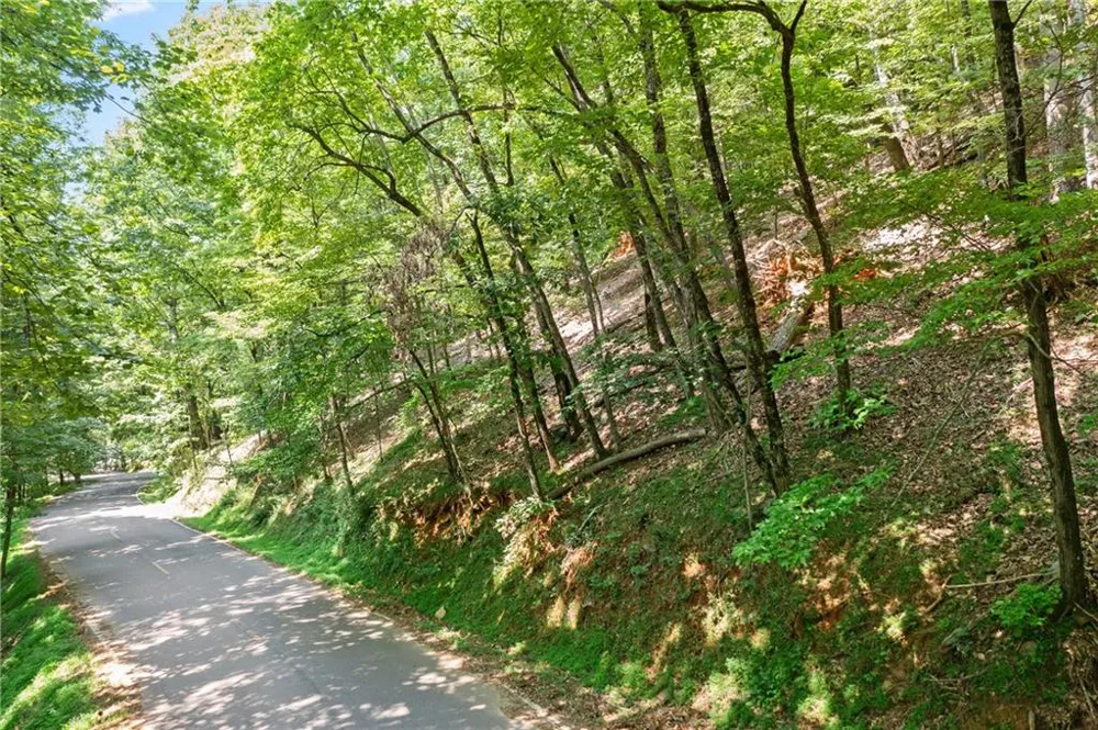 37 Petit Ridge Drive Big Canoe, GA 30143