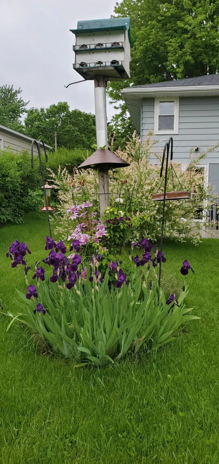 1402 Marie Avenue Albert Lea, MN 56007