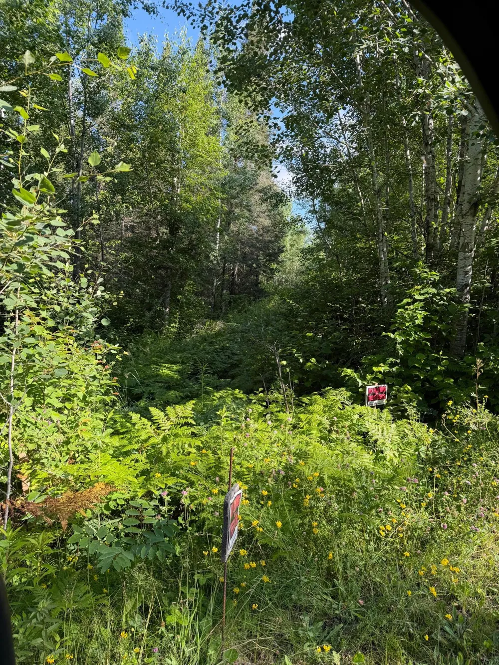 000 County Rd 56 Nashwauk, MN 55769