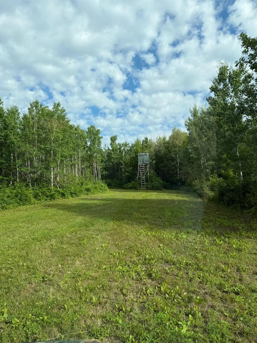 000 County Rd 56 Nashwauk, MN 55769