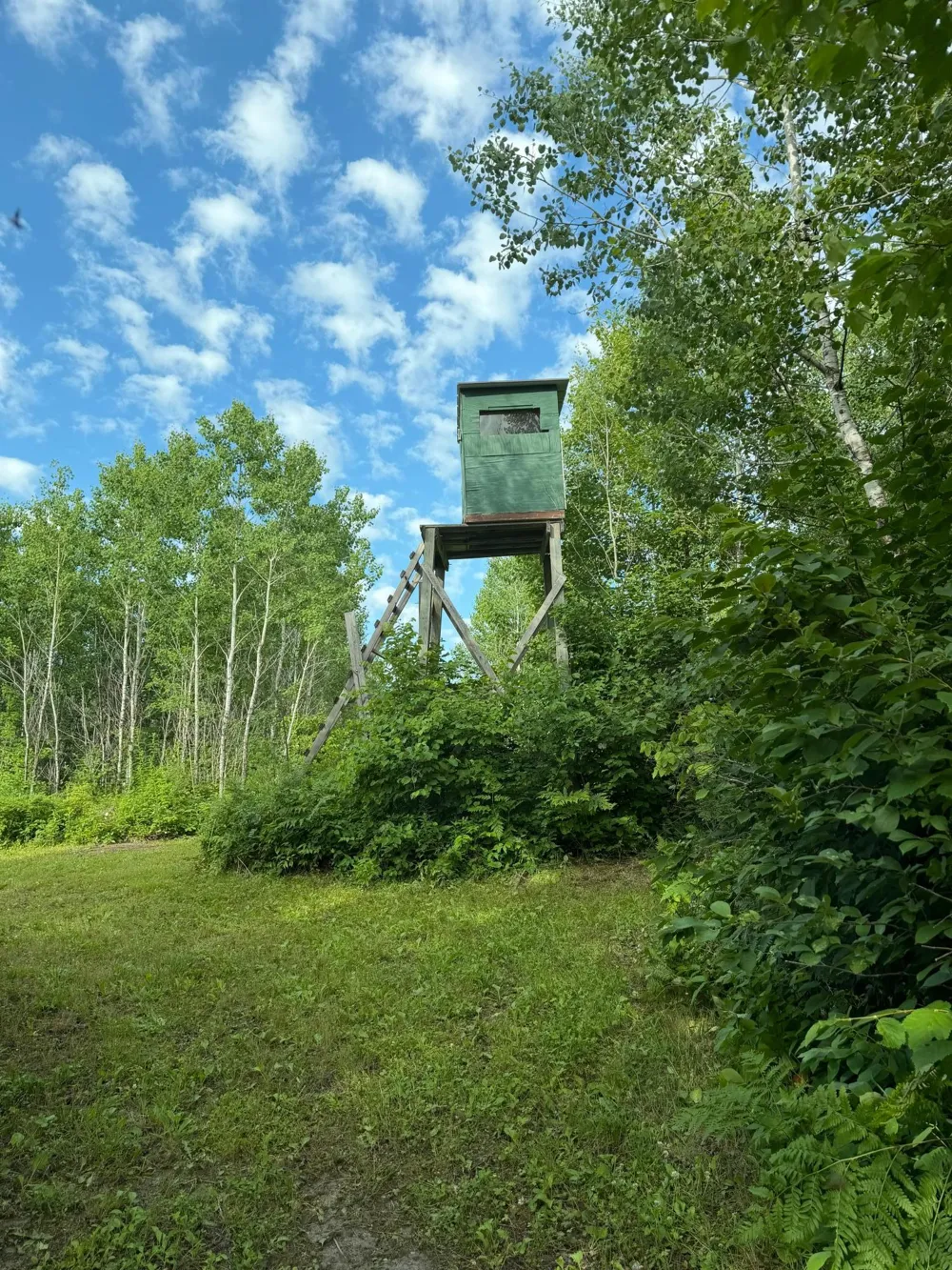 000 County Rd 56 Nashwauk, MN 55769