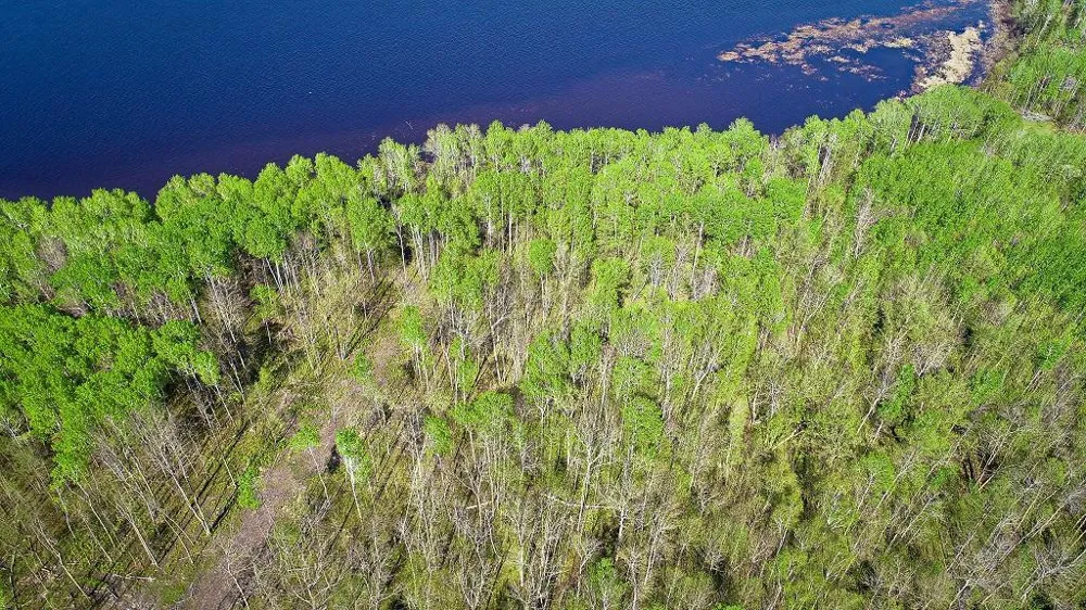 Lot 11 - TBD Driftwood Lane NW Baudette, MN 56623