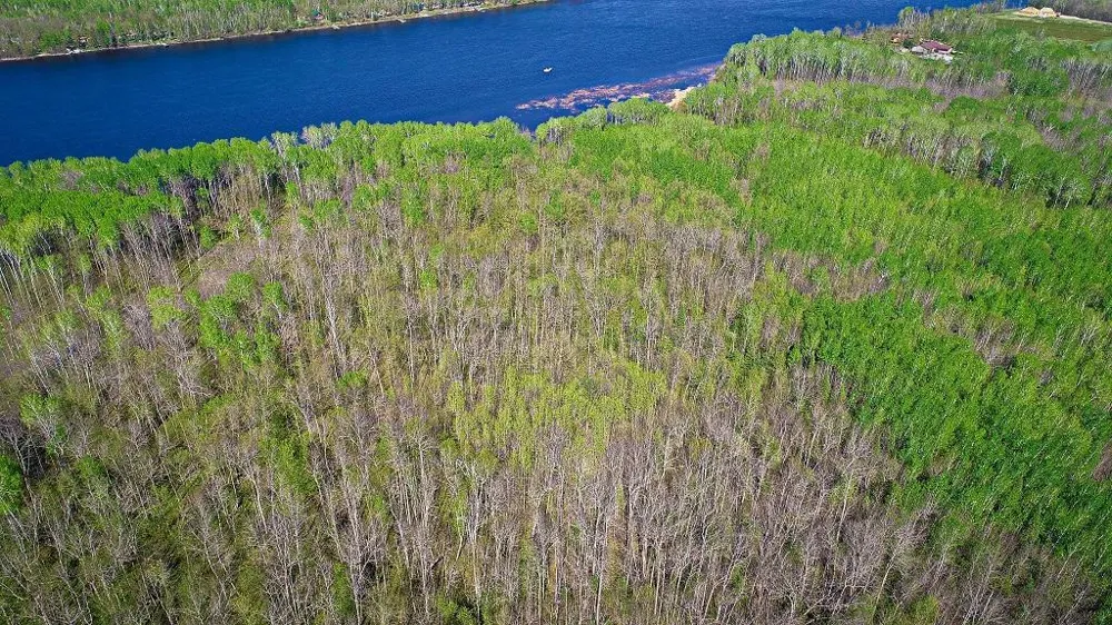 Lot 11 - TBD Driftwood Lane NW Baudette, MN 56623