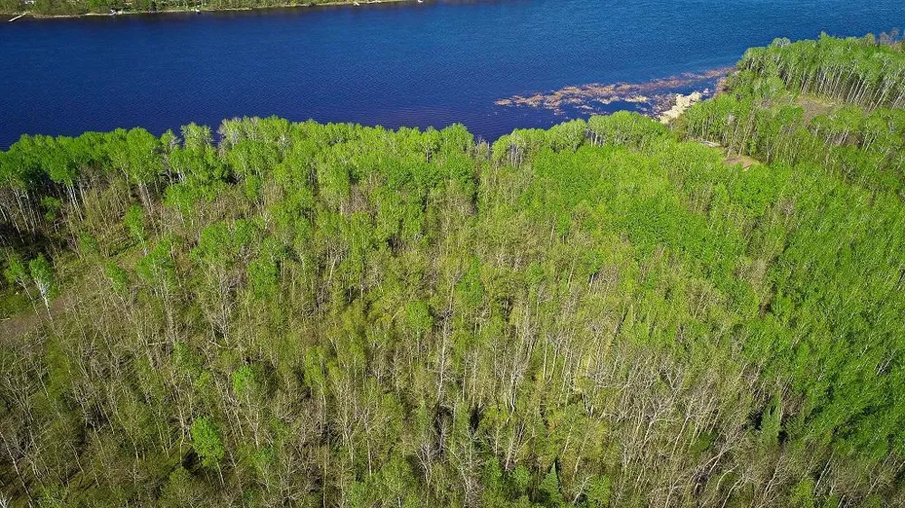 Lot 11 - TBD Driftwood Lane NW Baudette, MN 56623