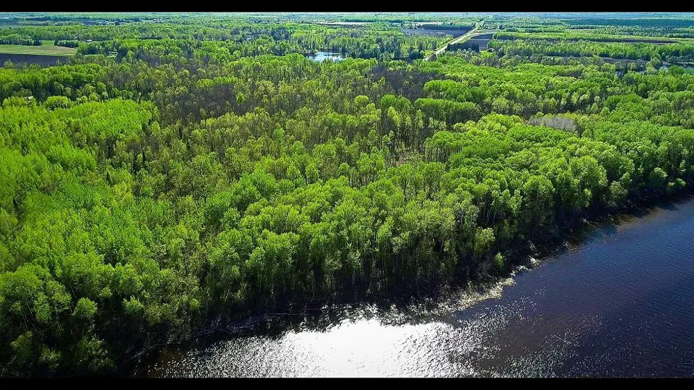 Lot 11 - TBD Driftwood Lane NW Baudette, MN 56623
