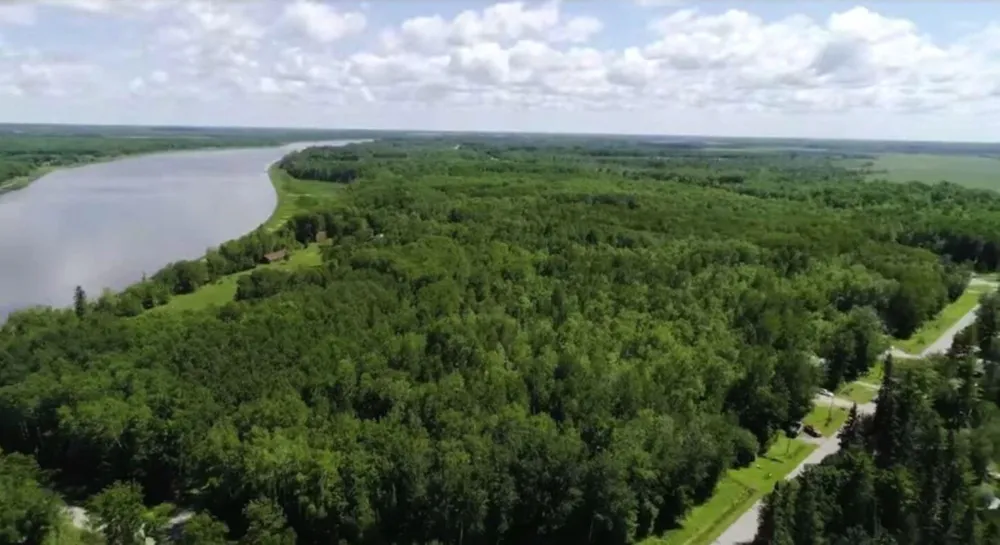 Lot 11 - TBD Driftwood Lane NW Baudette, MN 56623