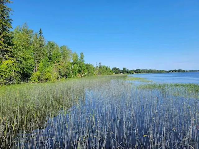 Lot 11 - TBD Driftwood Lane NW Baudette, MN 56623