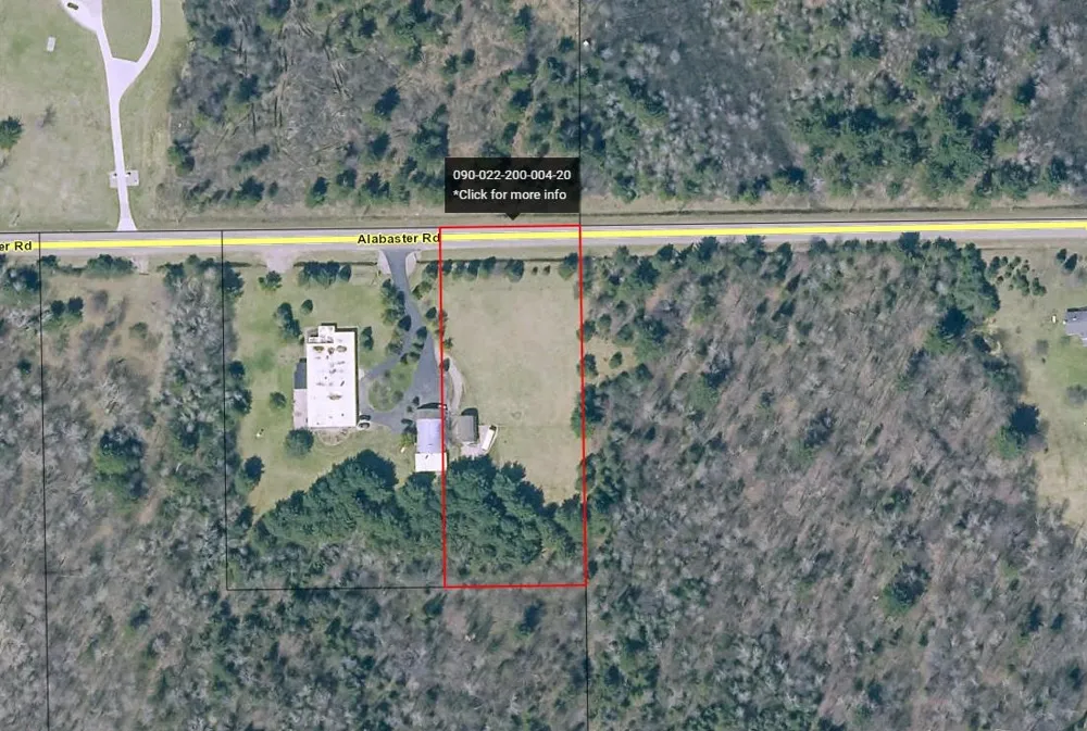 4395 Alabaster Road Sherman Township, MI 48765