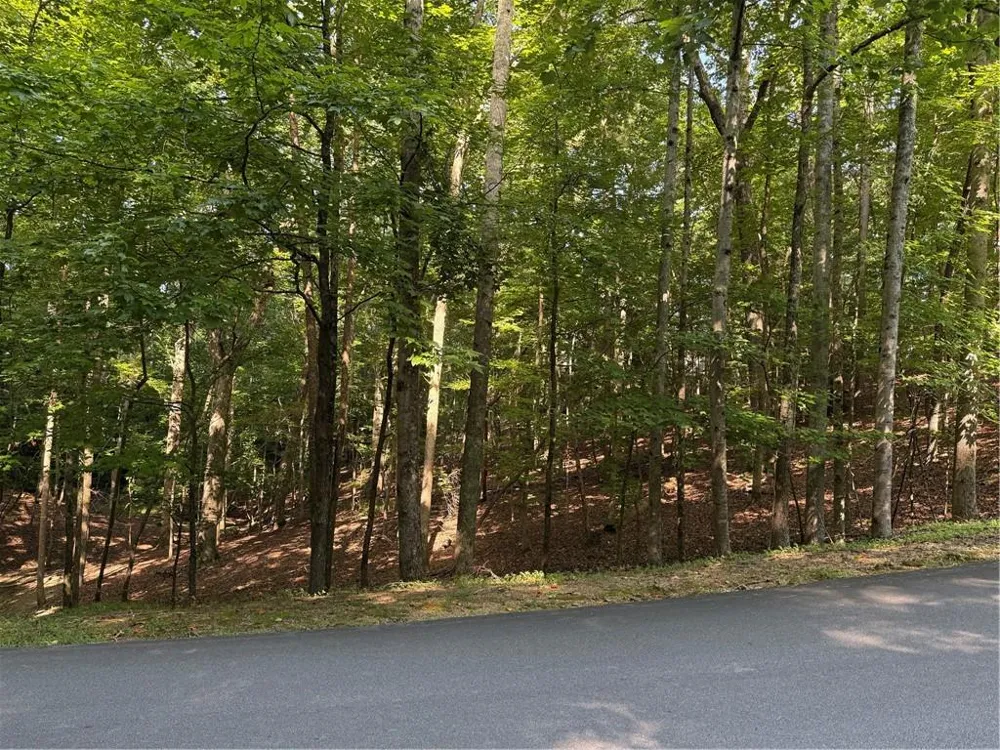 20 Hillside Drive Waleska, GA 30183
