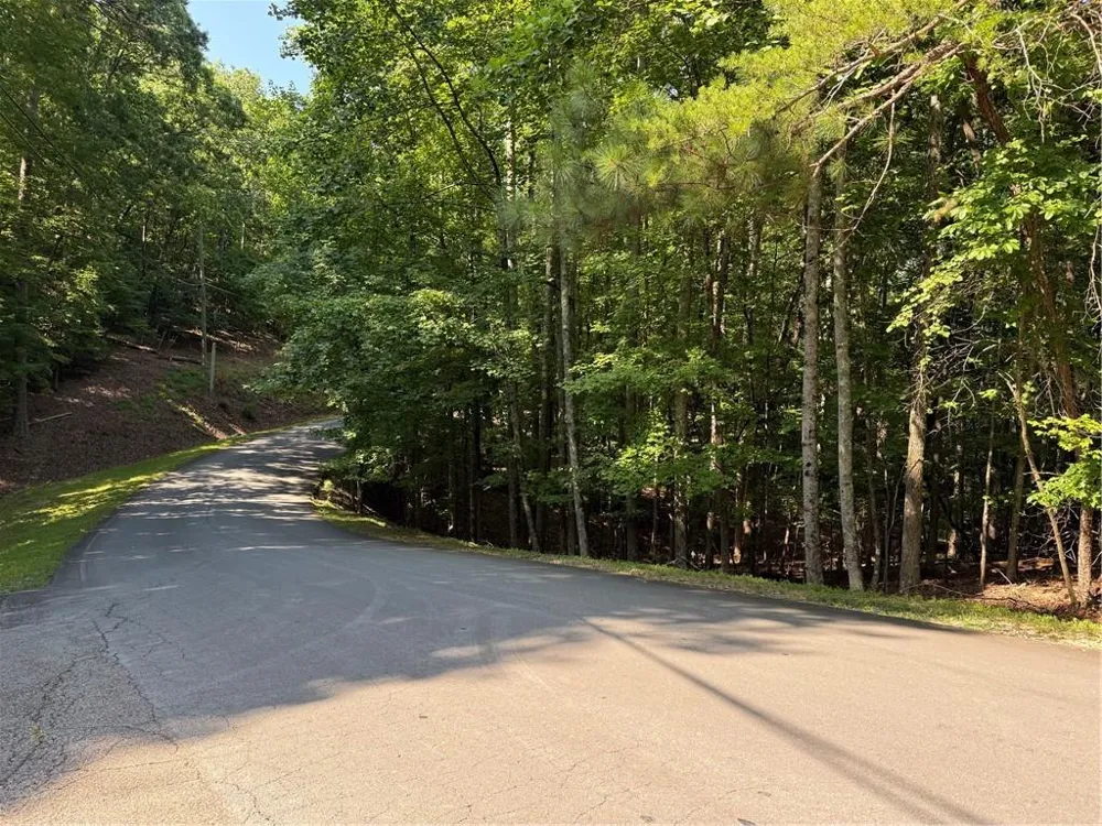 20 Hillside Drive Waleska, GA 30183