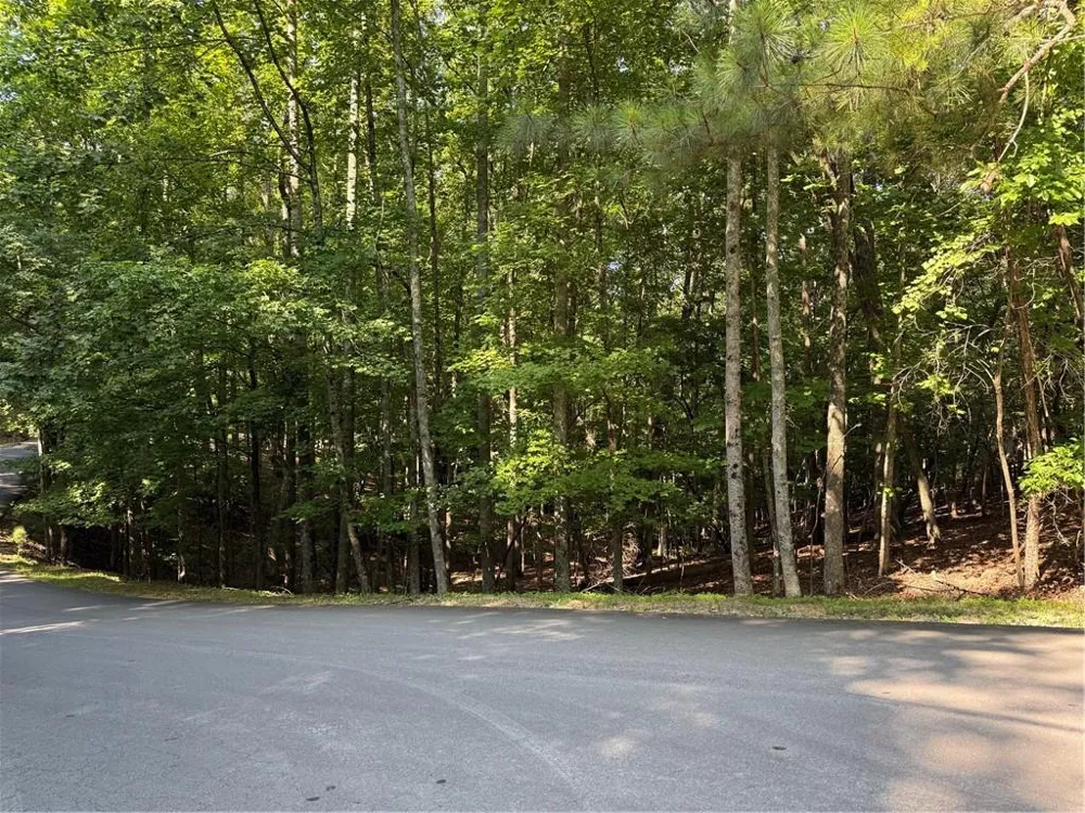 20 Hillside Drive Waleska, GA 30183