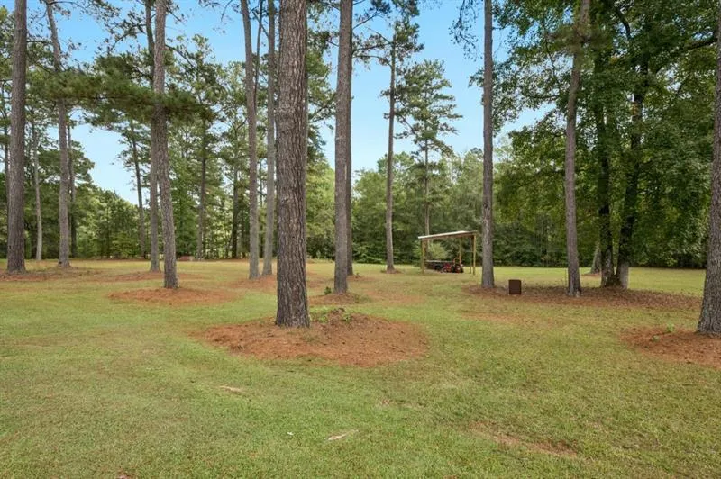 334 Luther Bailey Senoia, GA 30276