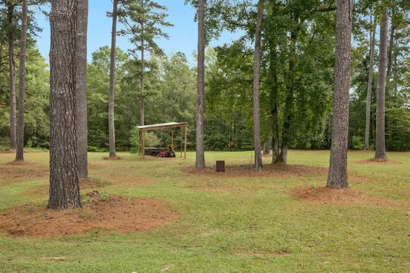 334 Luther Bailey Senoia, GA 30276