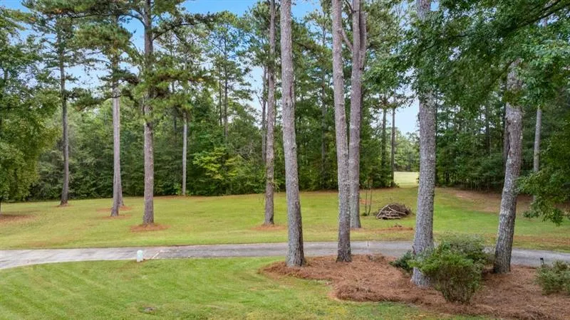 334 Luther Bailey Senoia, GA 30276