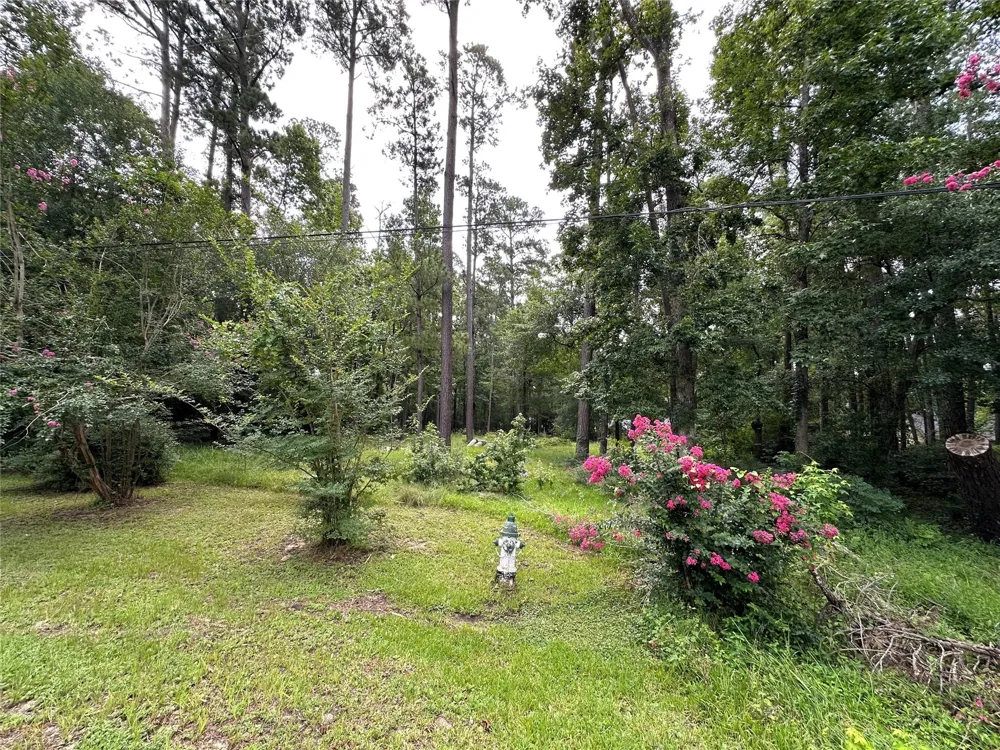3779 Spring Drive Huntsville, TX 77340