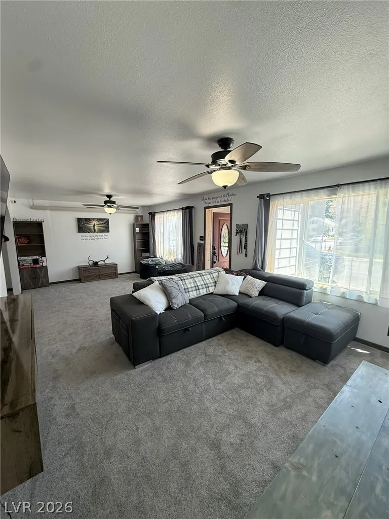 703 Canyon Street Ely, NV 89301