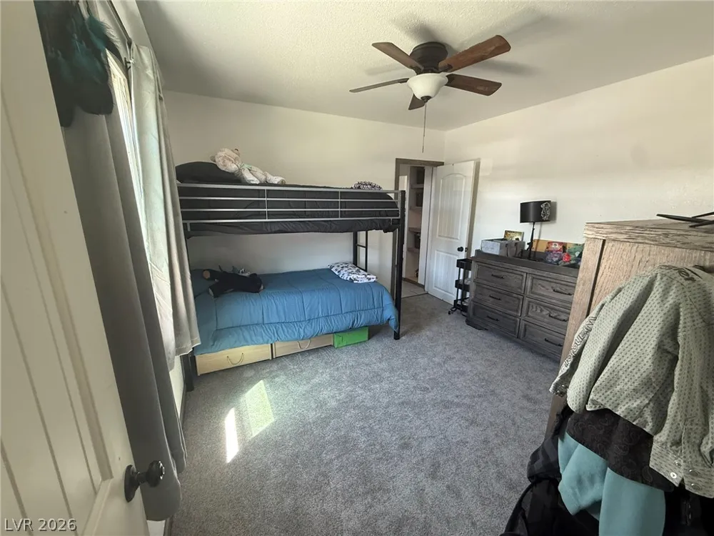 703 Canyon Street Ely, NV 89301
