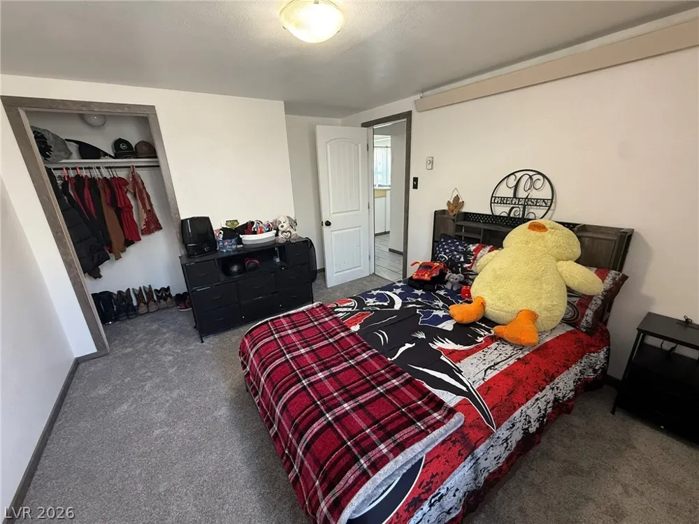 703 Canyon Street Ely, NV 89301