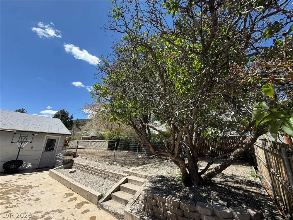 703 Canyon Street Ely, NV 89301