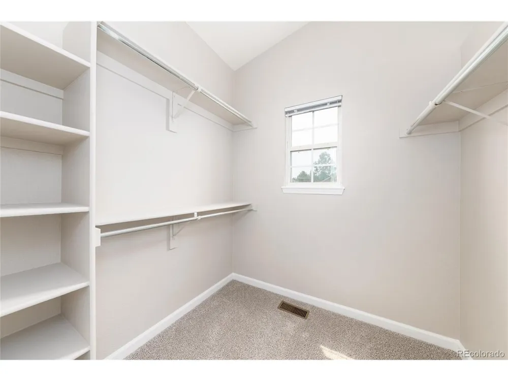 4341 Millwagon Trail Castle Rock, CO 80109