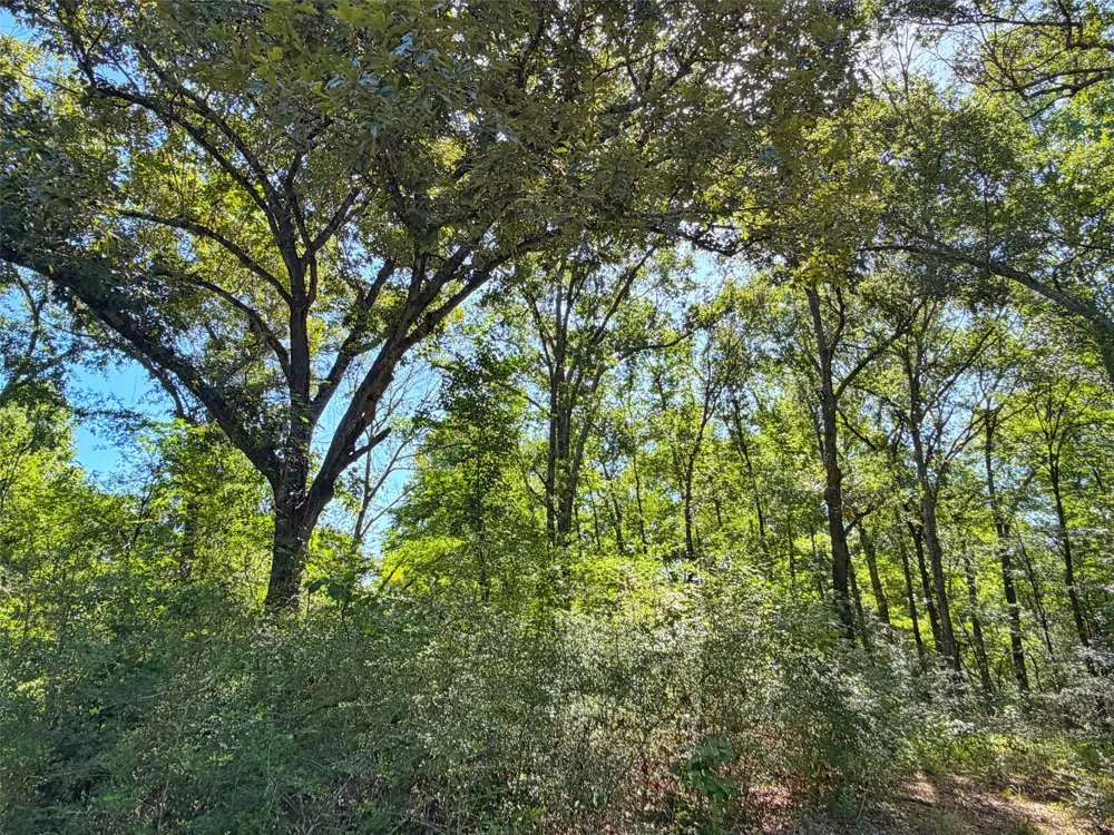 I-45 West Feeder Rd Centerville, TX 75833