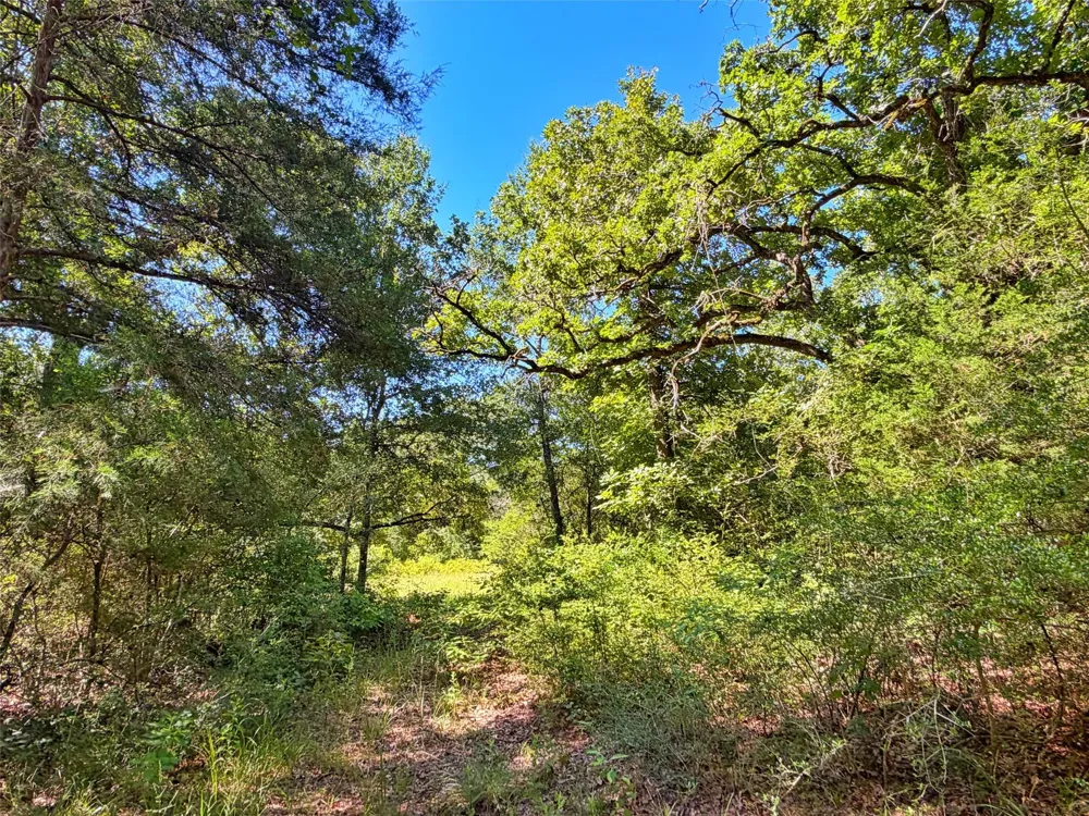 I-45 West Feeder Rd Centerville, TX 75833