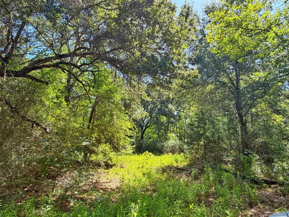I-45 West Feeder Rd Centerville, TX 75833
