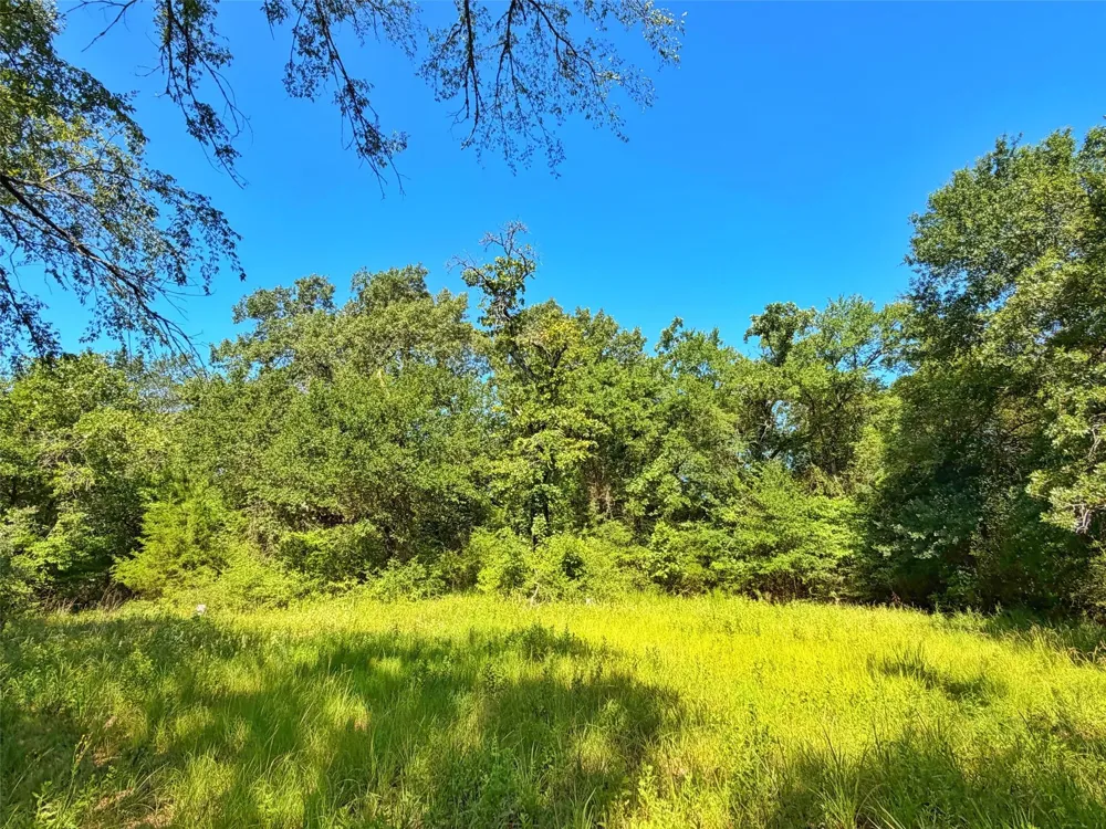 I-45 West Feeder Rd Centerville, TX 75833