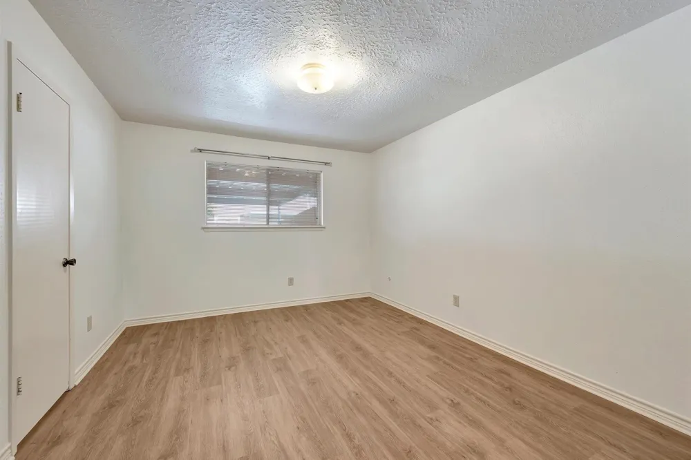 3980 Laura Leigh Drive Friendswood, TX 77546