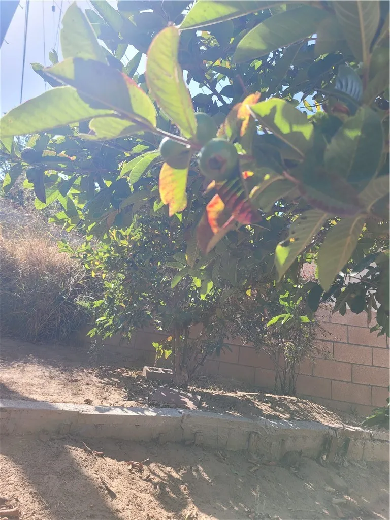 2905 Inglewood Avenue Redondo Beach, CA 90278