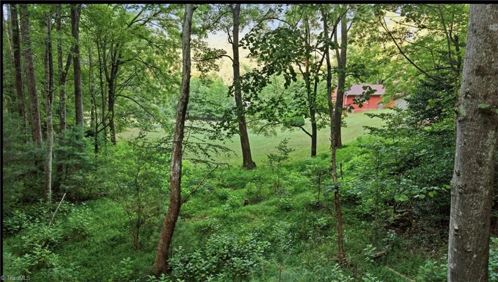 11526 US Highway 421 Purlear, NC 28665