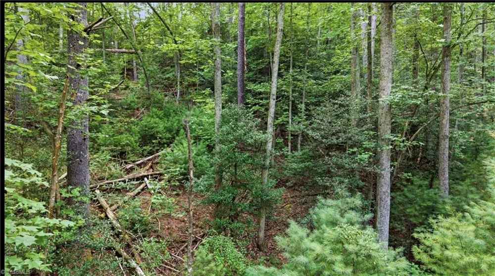 11526 US Highway 421 Purlear, NC 28665